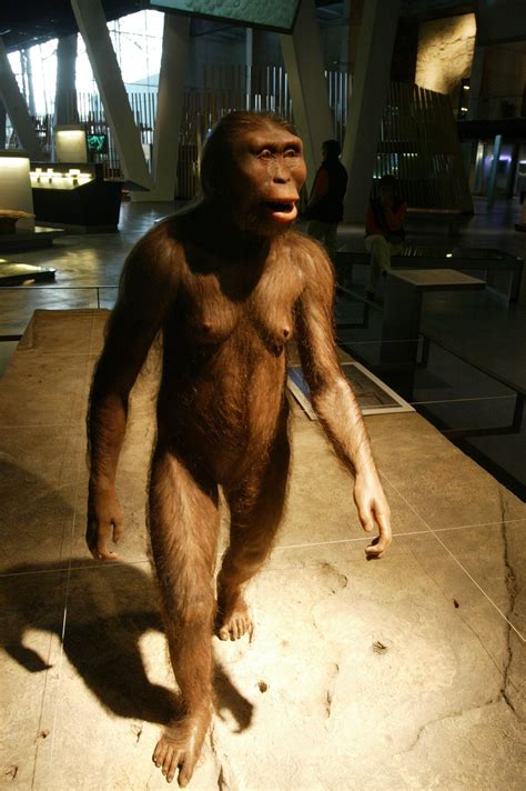 Lucy demuestra que los antepasados humanos pasaron mucho tiempo