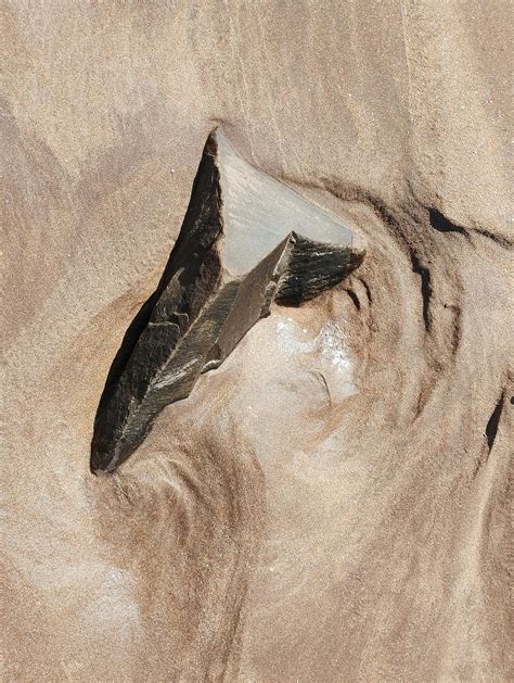 Topless, Beach Photos, Download The BEST Free Topless, Beach Stock