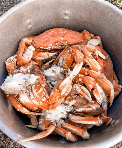 The Easiest Way to Cook Crab - The Perfect Tide