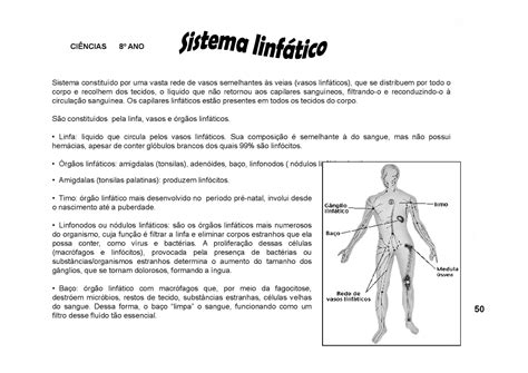 Atividades Sobre Vacinas 2 Ano