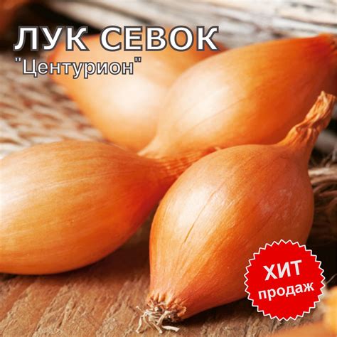 Лук-севок Центурион купить на OZON по низкой цене