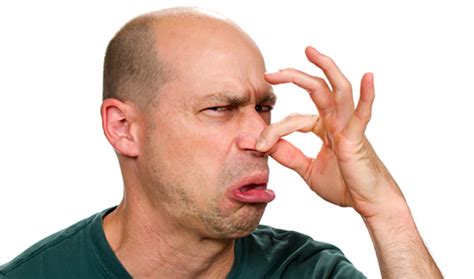 I Smell Trouble | Cornelius Today
