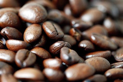 coffee beans close  background  aristotoo