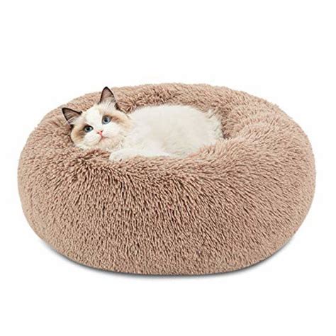 GetUSCart- Bedsure Calming Cat Beds for Indoor Cats - Large Cat Bed ...