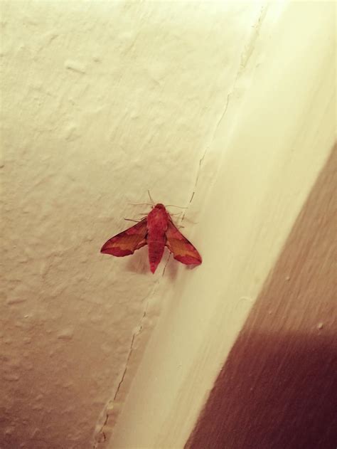 What is completely harmless but also terrifying as fuck? : r/AskReddit