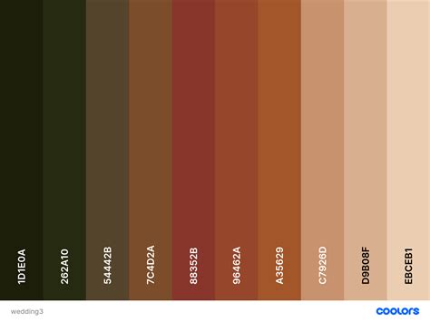 20 brown color palettes with names and hex codes – Artofit