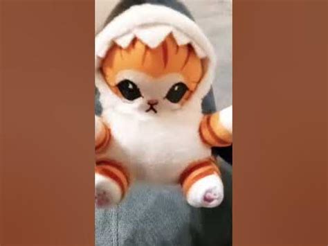 котик акула - YouTube