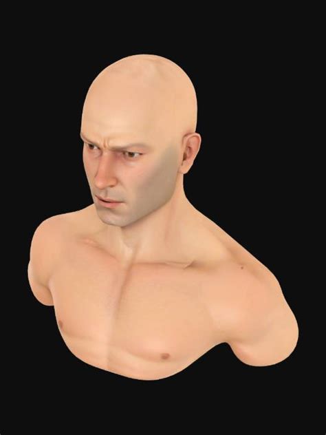bald portrait    models generated  meshy ai