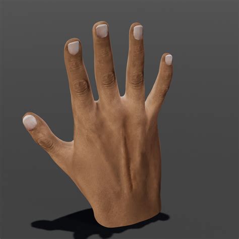 ArtStation - Hand Rigged 3D model | Game Assets