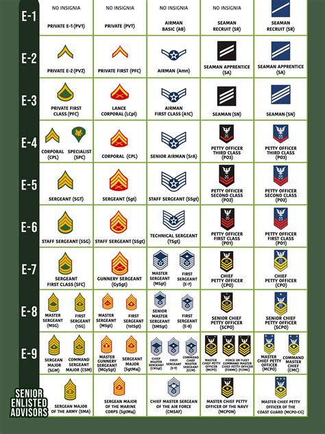 Use This Military Rank Chart To Understand Each Position | My XXX Hot Girl