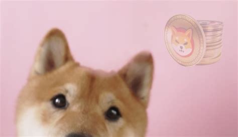 Аналітик оцінив динаміку курсу мем-токена Shiba Inu - CryptoMisto