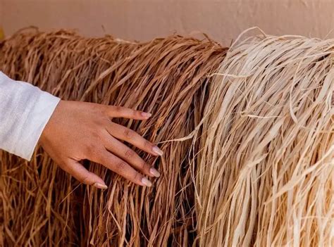 types  raffia