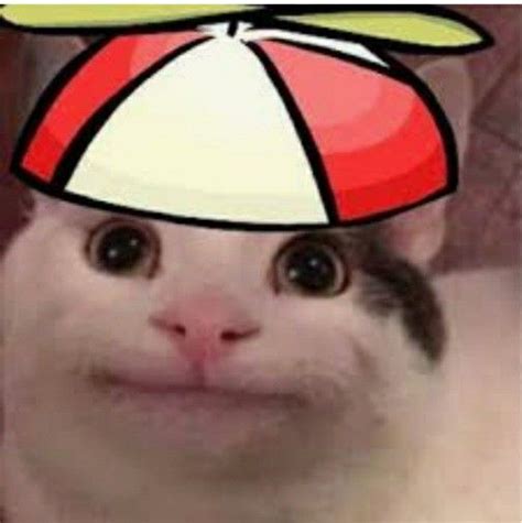 Beluga with hat | Youtube images, Beluga, Cat character in 2022 | Cat ...