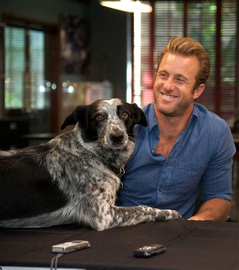 17 Best images about Scott caan on Pinterest | Paul walker, Into the ...