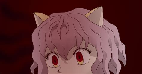 hunterhunter pixiv