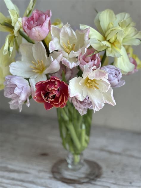 Interview with Vermont Tulip Farmer Emily Von Trapp