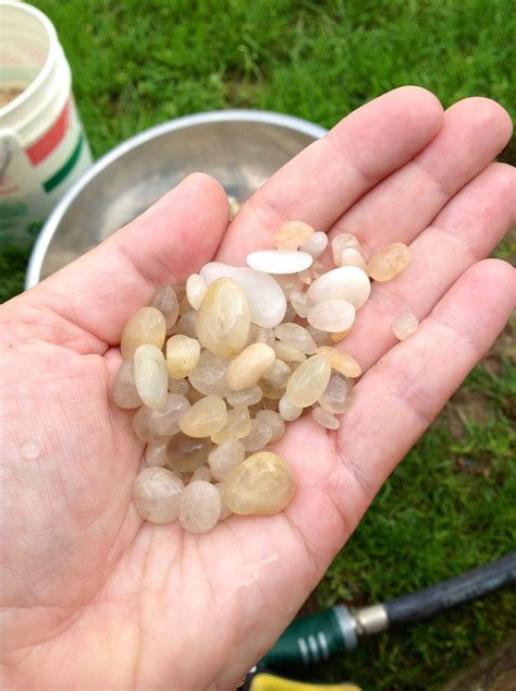 Before polishing Cape May Diamonds | Cape may diamonds, Cape may, Cape