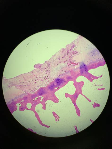 pathology