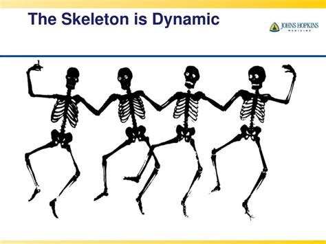 PPT - Maintaining Skeletal Health for the Transplant Recipient