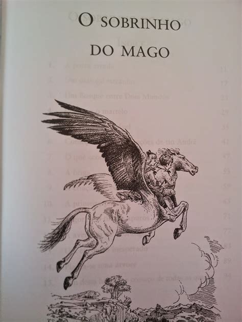 Cronicas De Narnia O Livro 6