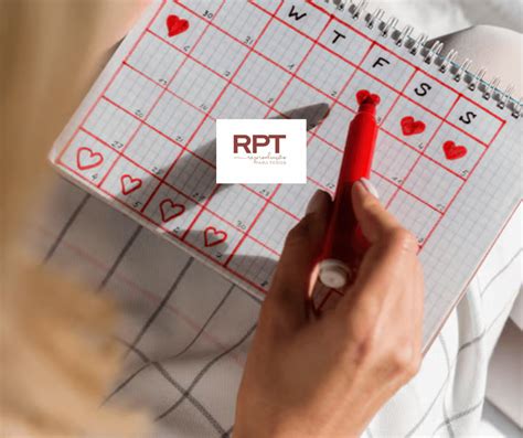 Tive Relação 2 Dias Depois Da Ovulação Posso Engravidar