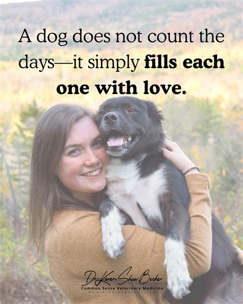 Dr. Karen Becker | DIY Flea & Tick Spray recipe from The Forever Dog LIFE book. 💦🦟 Available now