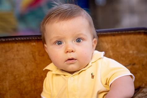 beheler  portrait creations