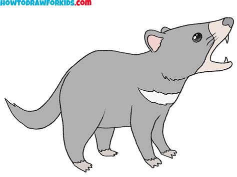 How to Draw a Tasmanian Devil - Easy Drawing Tutorial For Kids