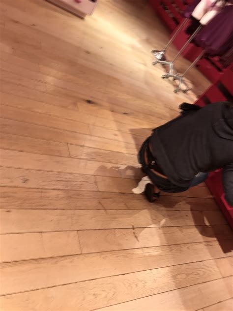Thong at VS | Whale Tail Forum