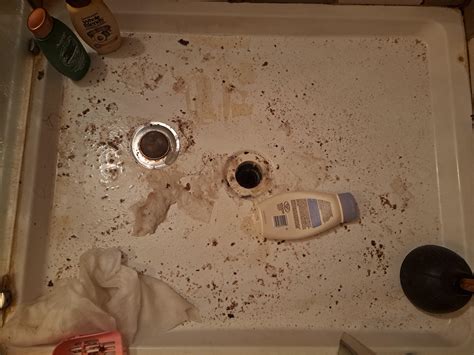 The result of flushing "flushable" wipes down the drain. : r