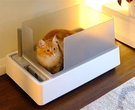 6 Best Cat Litter Boxes for Odor Control in 2023 – tuft + paw