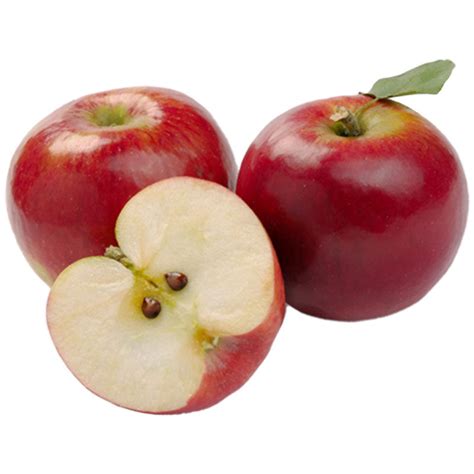 Red Lady Tagged "2-graft-apple" - Fruit Salad Trees