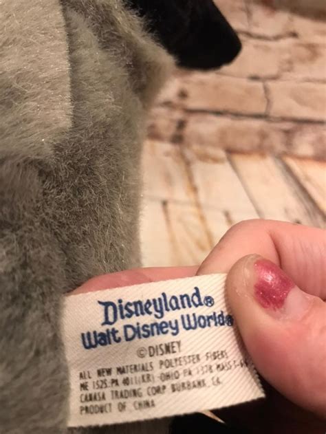 raccoon in pocahontas 1