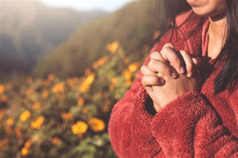 Louvor De Agradecimento A Deus 5