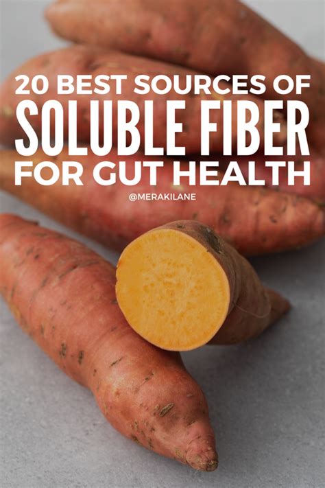 soluble fiber foods  gut health