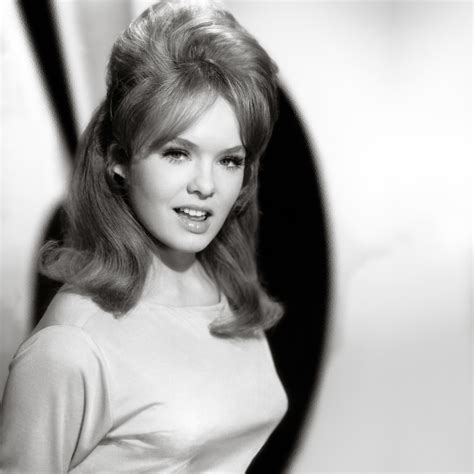 ジョーイ・ヘザートン（Joey Heatherton〜）・・・美女落ち穂拾い210914 : 夜ごとの美女