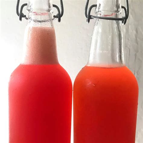 fig leaf tea  foraged fig leaves  waste chef