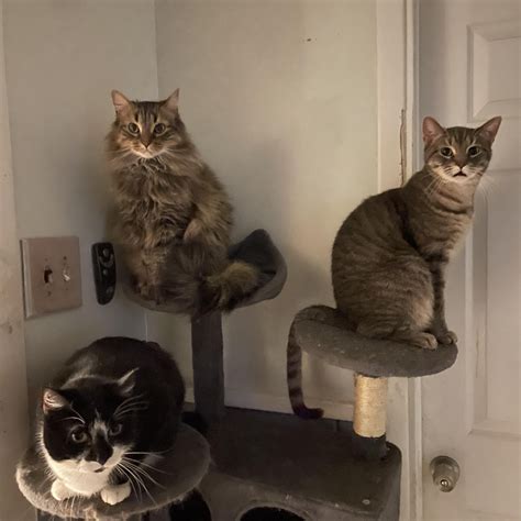 Loni Sanders - Loni Sanders updated her profile picture. | Facebook