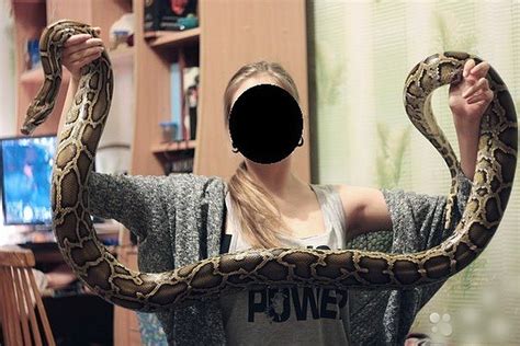 Укус Питона Книга - dragokiller