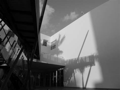 NSU ART MUSEUM – Glavovic Studio