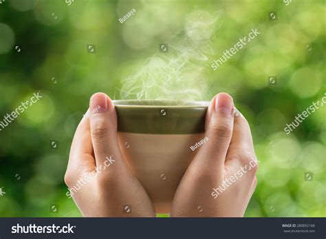 hands holding tea cup  green stock photo edit