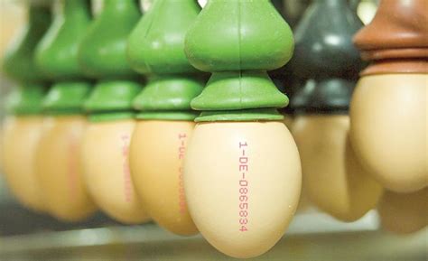 LEIBINGER inkjet printers | 2017-04-12 | Food Engineering