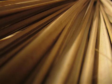 stick background  wood theme  stock photo  vecteezy