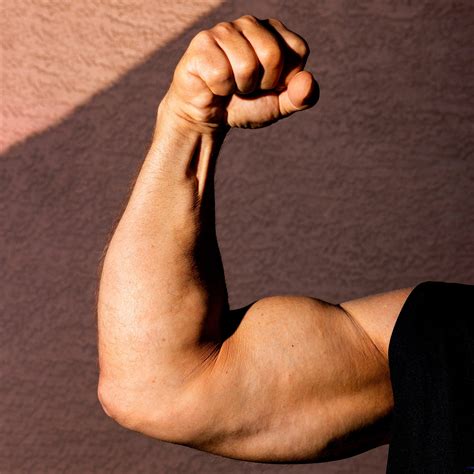 arm muscle training tips  build biceps  triceps