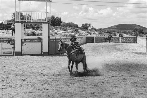60 000+ Big+latina+booty banque d’images et photos libres de droit