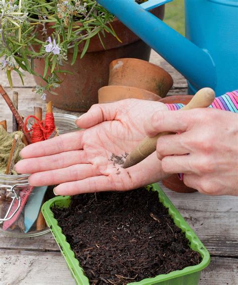 Best Soil To Start A Garden at Wilfred Mccarty blog