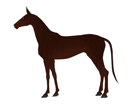 chestnut liver  ofdarkestfantasies  deviantart