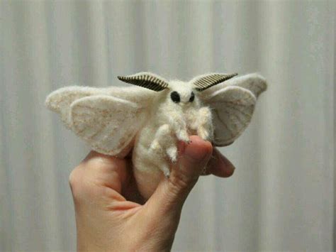 Cute Silk Moth