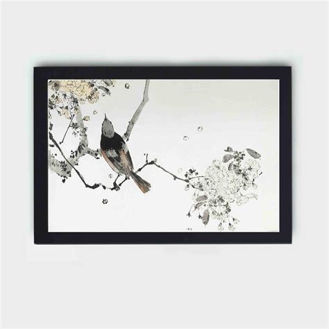 Infidu Perched Japanese swallow. Illustration from Seitei Kacho Gafu