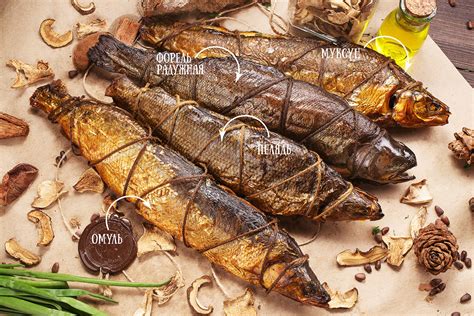 Catalog for TAIGA on Behance